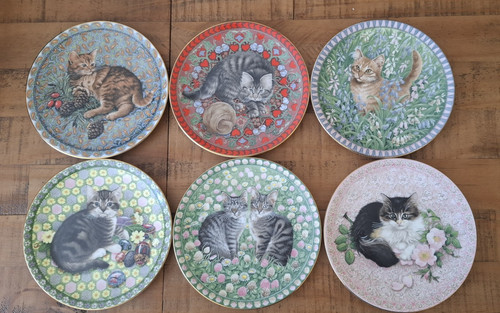 Aynsley meet kittens bone - meet,