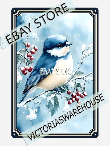 Winter bluebird metal - winter,