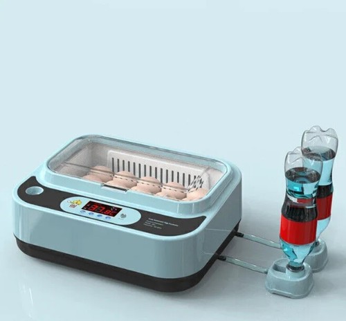 Egg incubator hatching eggs - hatching,