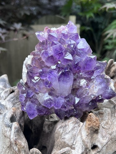 Amethyst purple cluster - cluster, large