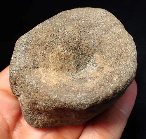 Large fossil ichthyosaur bone - fossil,