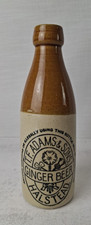 Old Vintage Antique Printed Ginger Beer Bottle HALSTEAD T.F Adams Sons P3411