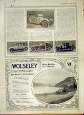 Original Old Antique Print