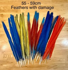 Parrot Macaw Feather Crafts