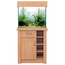 Oak style aquarium - style, fish