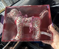 Victoria’ Secret PINK X