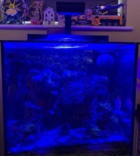 *Open to offers* RedSea MAX