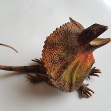 Frilled Lizard Frill Neck Reptile figure toy rubber Australian Science & Nature