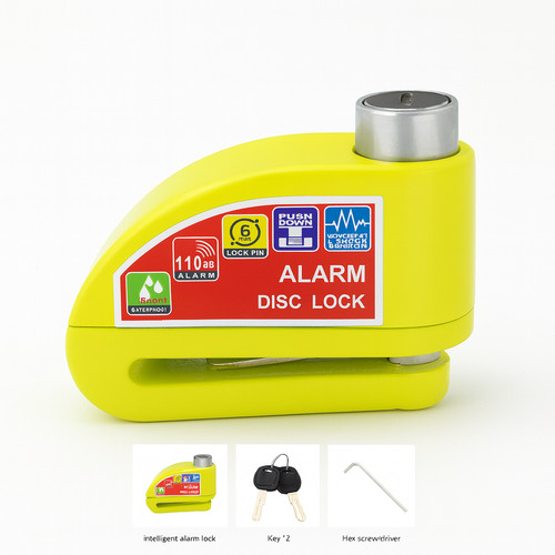 Brake disc lock - brake,