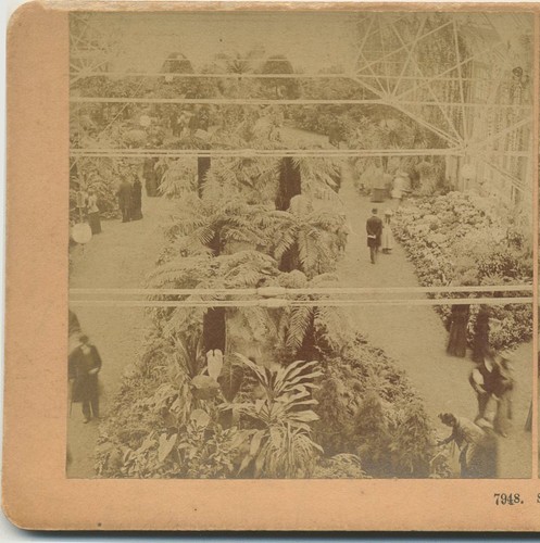 Horticultural hall interior - horticultural,