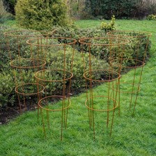 Garden Conical Plant Support
