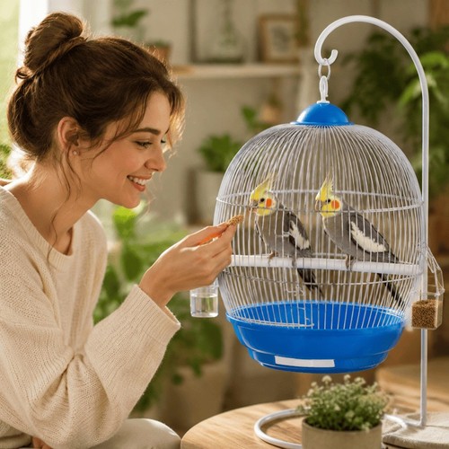 Round bird cage with hanging - round,