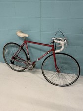 Raleigh Pursuit Vintage