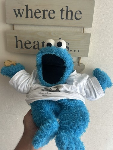 Sesame street cookie monster - cookie,