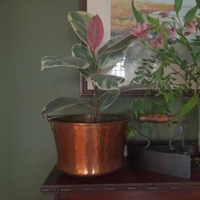 Hammered copper pot with