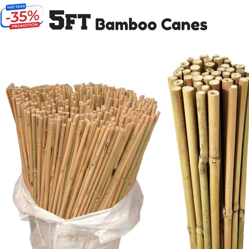 5ft bamboo wooden - bamboo, strong