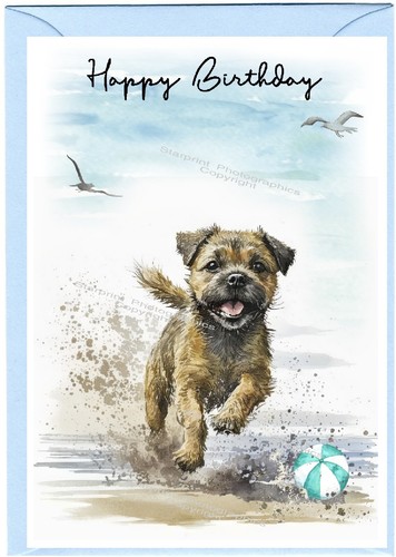 Border terrier dog birthday - border,