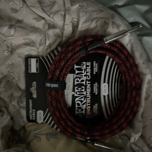 Ernie ball 10ft - ernie,