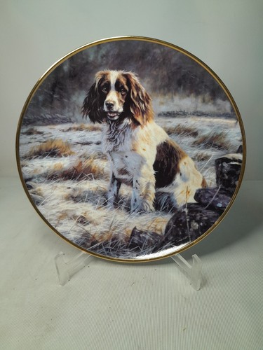 Your choice the springer - your,