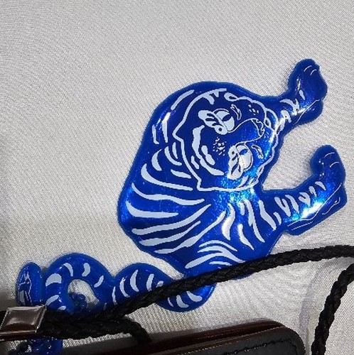 Korean tiger magpie - magpie, reflective