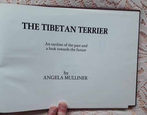 The tibetan terrier angela - tibetan, by