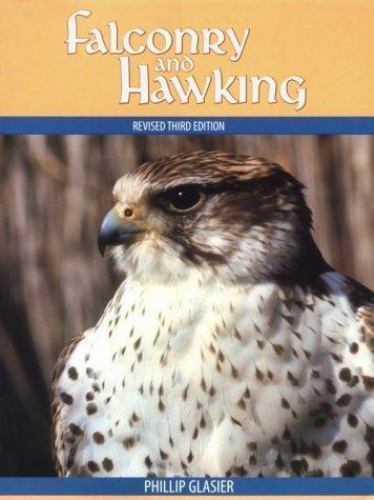 Falconry and hawking glasier - and,