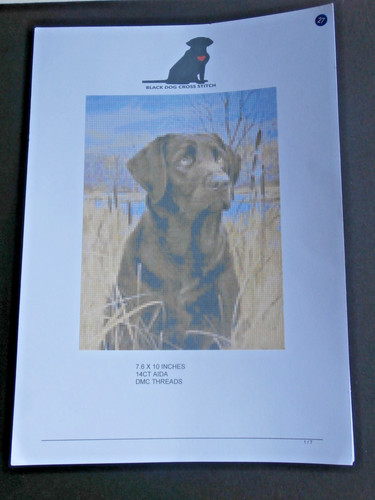 Black labrador dog counted - labrador,