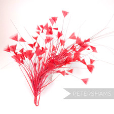 Triangle Tipped Stripped Coque