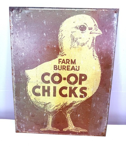 Farm bureau chicks - farm,