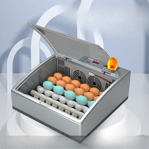 Small automatic egg - small, incubator