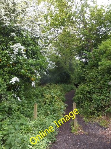 Photo 6x4 east - devon, way