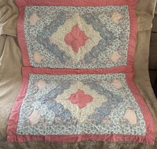 Lovely Pair Vintage Pillow