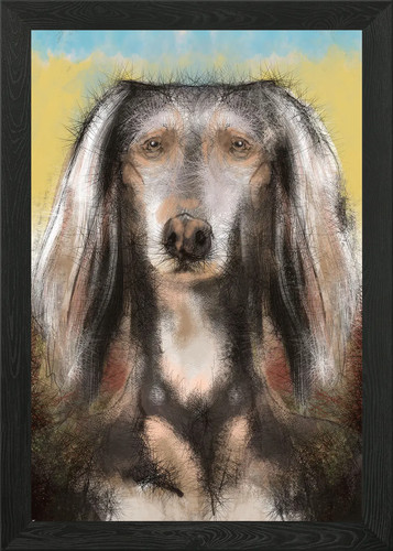 Saluki dog framed wall - saluki, art