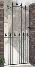 Salva spear top tall garden - spear,