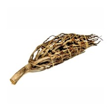 Natural reptile branch - natural,