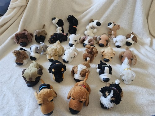 The dog artlist collection - 🐞the,