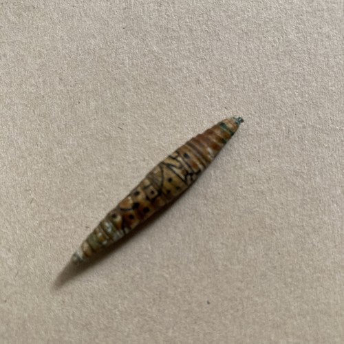 Possible pupa chrysalis - possible,