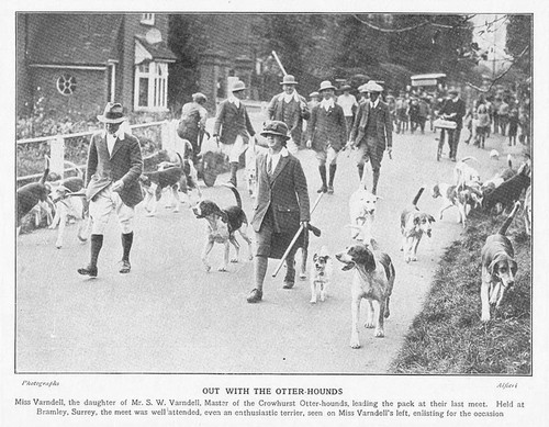 Bramley surrey meet the - surrey,, of