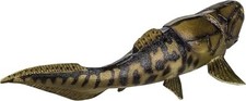 Dunkleosteus Figure