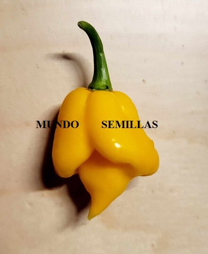 Carolina reaper amarillo the - carolina,