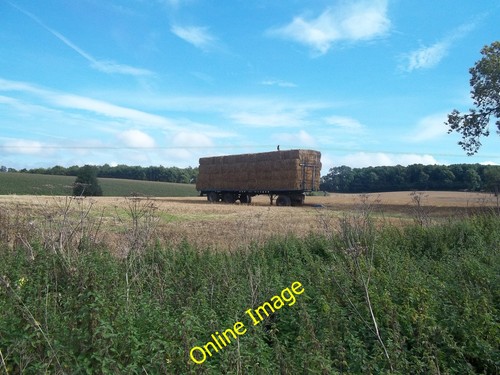 Photo 12x8 trailer straw - 12x8, of
