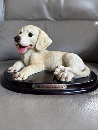 Yellow labrador puppy - yellow, laying
