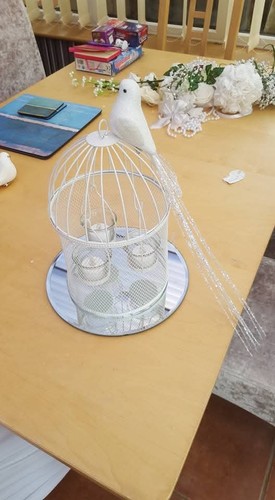 Birdcages - 8,