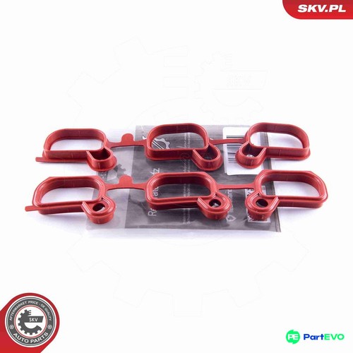 Esen skv intake - skv, manifold
