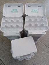 50 Quail 12-egg Egg Boxes - Shop Soiled