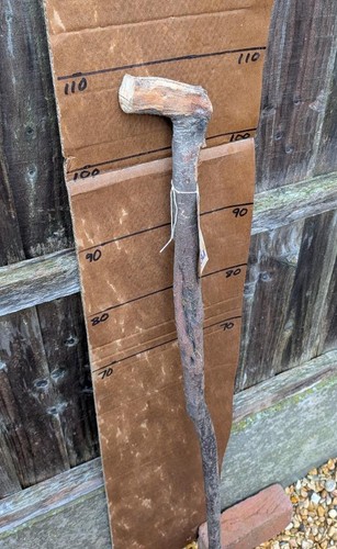 Blackthorn walking stick - blackthorn, shank