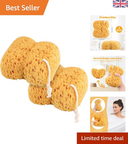 2pcs natural honeycomb sea - 2pcs,