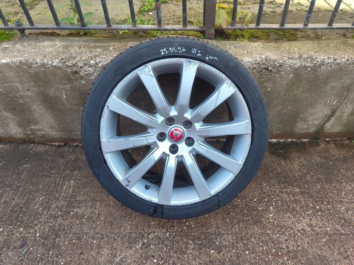 Jaguar x250 single - jaguar, 19"