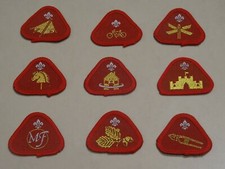 Cub Scout Proficiency/Activity Badges (1990s)