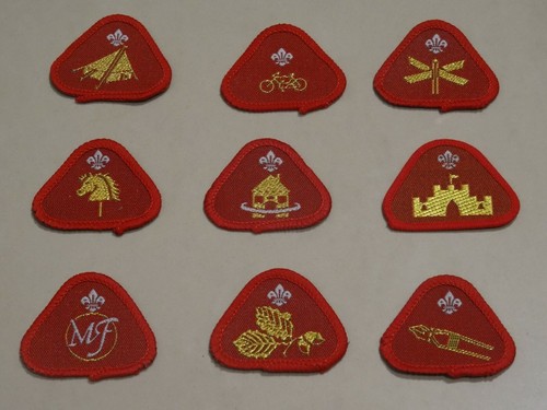 Cub scout proficiency activity - cub,